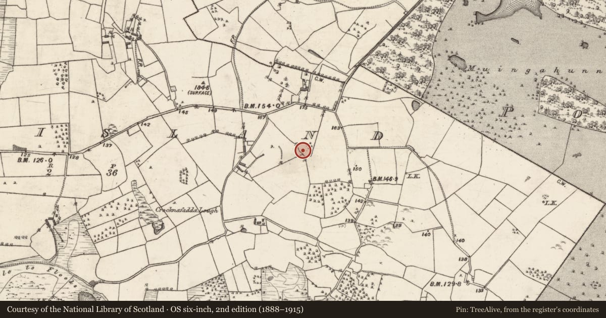 Ordnance Survey six-inch map, 2nd edition (1888–1915) covering the location of Souterrain, Stonyisland, County Galway, with a pin at the register's coordinates