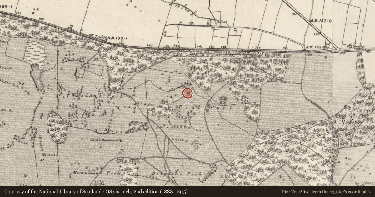 Ordnance Survey six-inch map, 2nd edition (1888–1915) covering the location of Ringfort - rath, Portumna Demesne, County Galway, with a pin at the register's coordinates