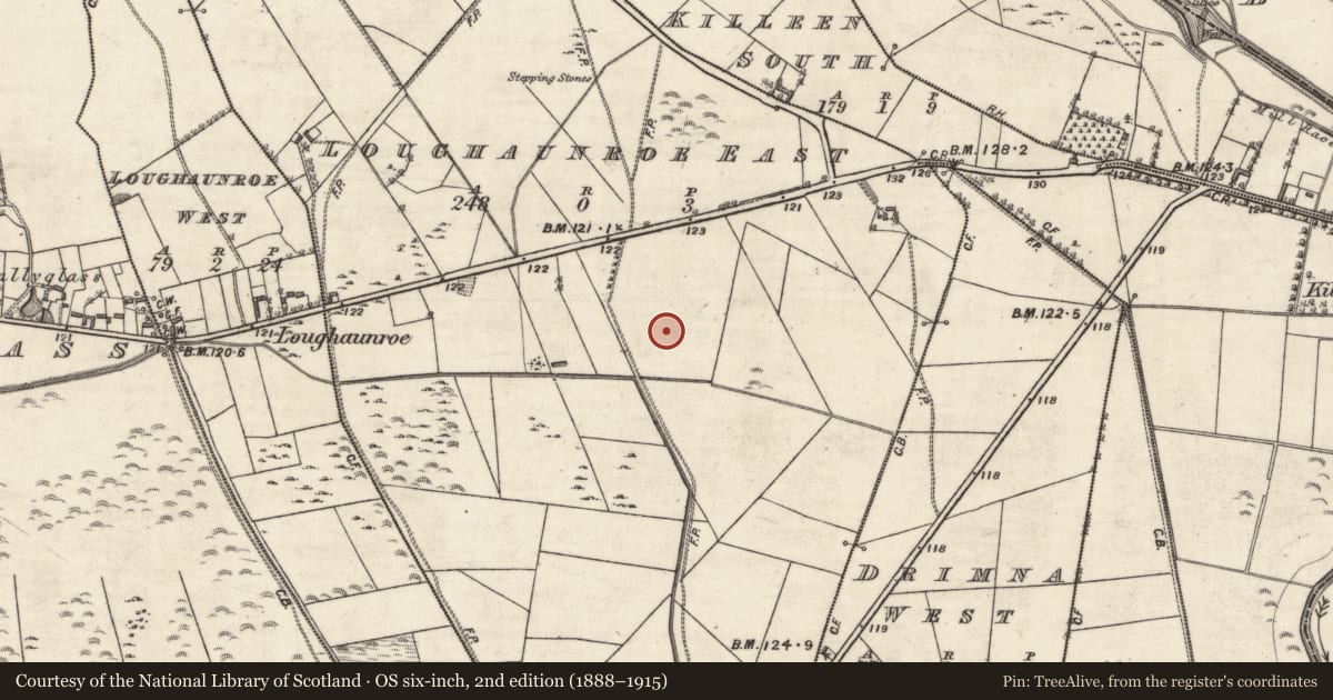 Ordnance Survey six-inch map, 2nd edition (1888–1915) covering the location of Mass-rock, Loughaunroe East, County Galway, with a pin at the register's coordinates