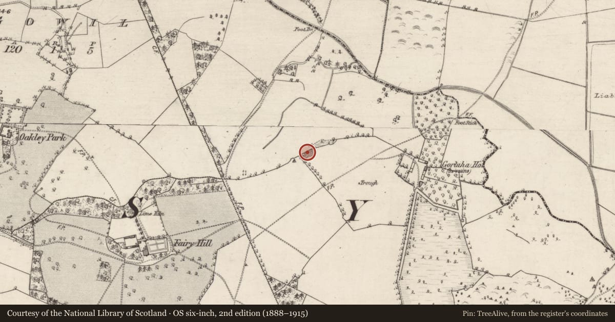 Ordnance Survey six-inch map, 2nd edition (1888–1915) covering the location of Quarry, Gortaha, County Galway, with a pin at the register's coordinates