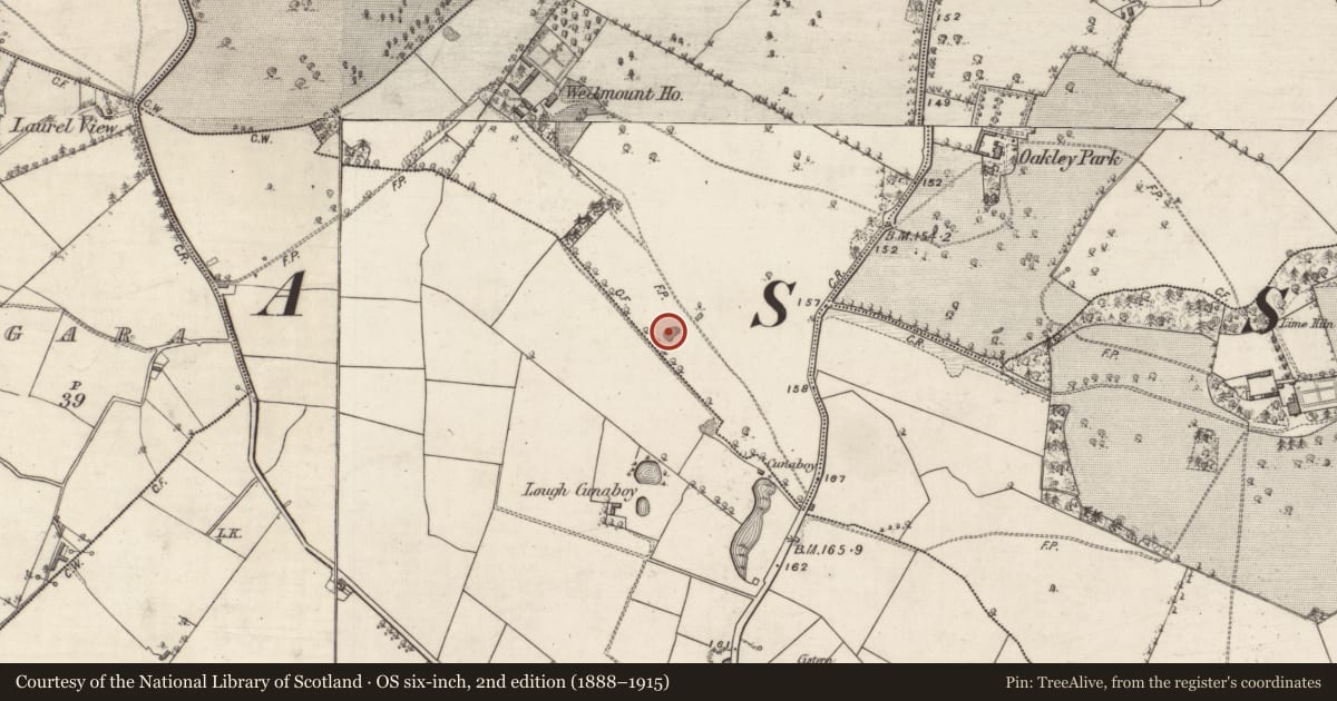 Ordnance Survey six-inch map, 2nd edition (1888–1915) covering the location of Quarry, Gortnacloghy, County Galway, with a pin at the register's coordinates