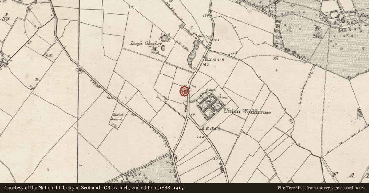 Ordnance Survey six-inch map, 2nd edition (1888–1915) covering the location of Quarry, Portumna, County Galway, with a pin at the register's coordinates