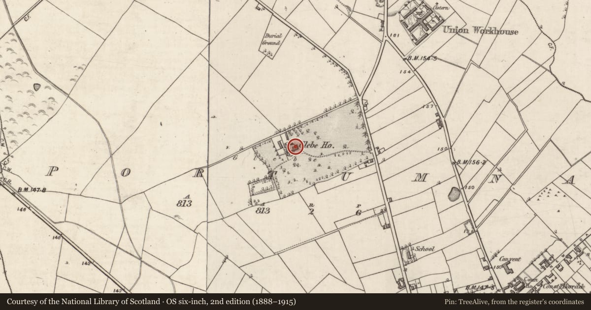 Ordnance Survey six-inch map, 2nd edition (1888–1915) covering the location of Ecclesiastical residence, Portumna, County Galway, with a pin at the register's coordinates