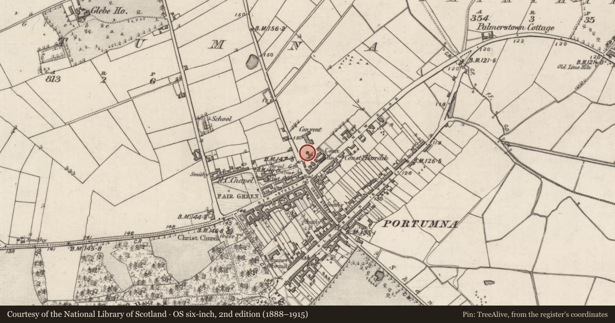 Ordnance Survey six-inch map, 2nd edition (1888–1915) covering the location of Designed landscape feature, Portumna, County Galway, with a pin at the register's coordinates