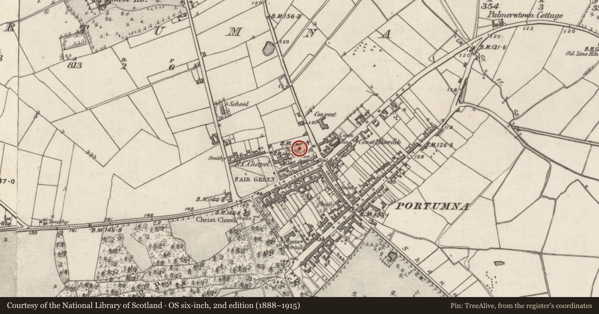 Ordnance Survey six-inch map, 2nd edition (1888–1915) covering the location of Graveyard, Portumna, County Galway, with a pin at the register's coordinates