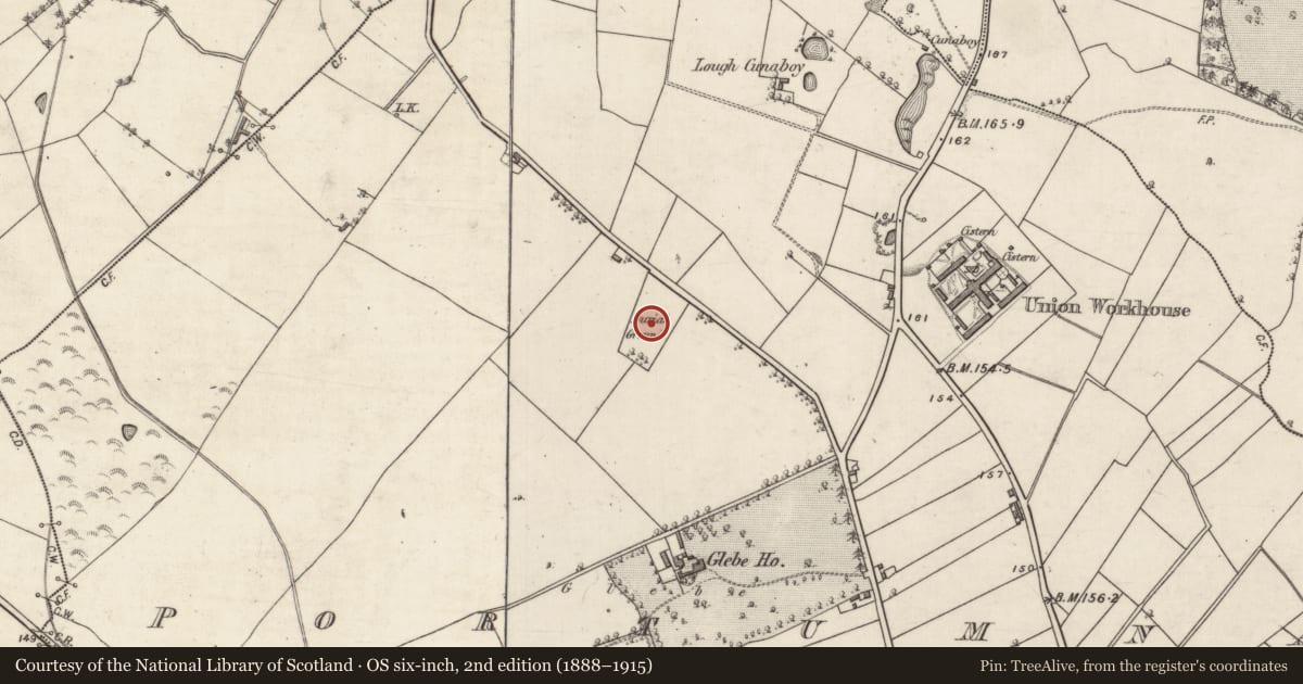 Ordnance Survey six-inch map, 2nd edition (1888–1915) covering the location of Burial ground, Portumna, County Galway, with a pin at the register's coordinates