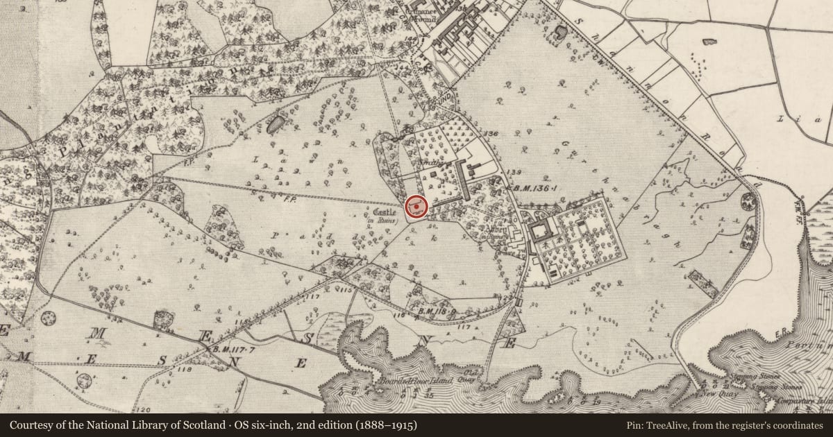 Ordnance Survey six-inch map, 2nd edition (1888–1915) covering the location of House - fortified house, Portumna Demesne, County Galway, with a pin at the register's coordinates