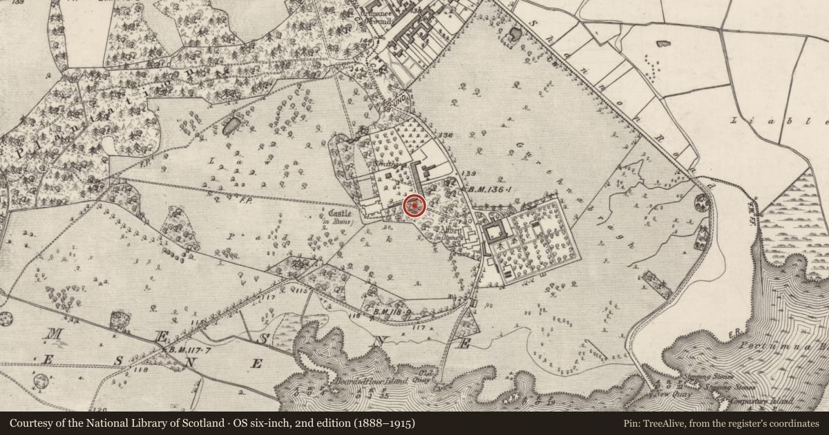 Ordnance Survey six-inch map, 2nd edition (1888–1915) covering the location of Icehouse, Portumna Demesne, County Galway, with a pin at the register's coordinates