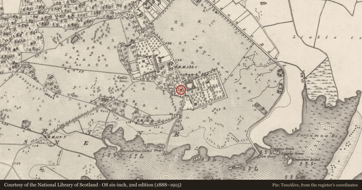 Ordnance Survey six-inch map, 2nd edition (1888–1915) covering the location of Wall monument, Portumna Demesne, County Galway, with a pin at the register's coordinates