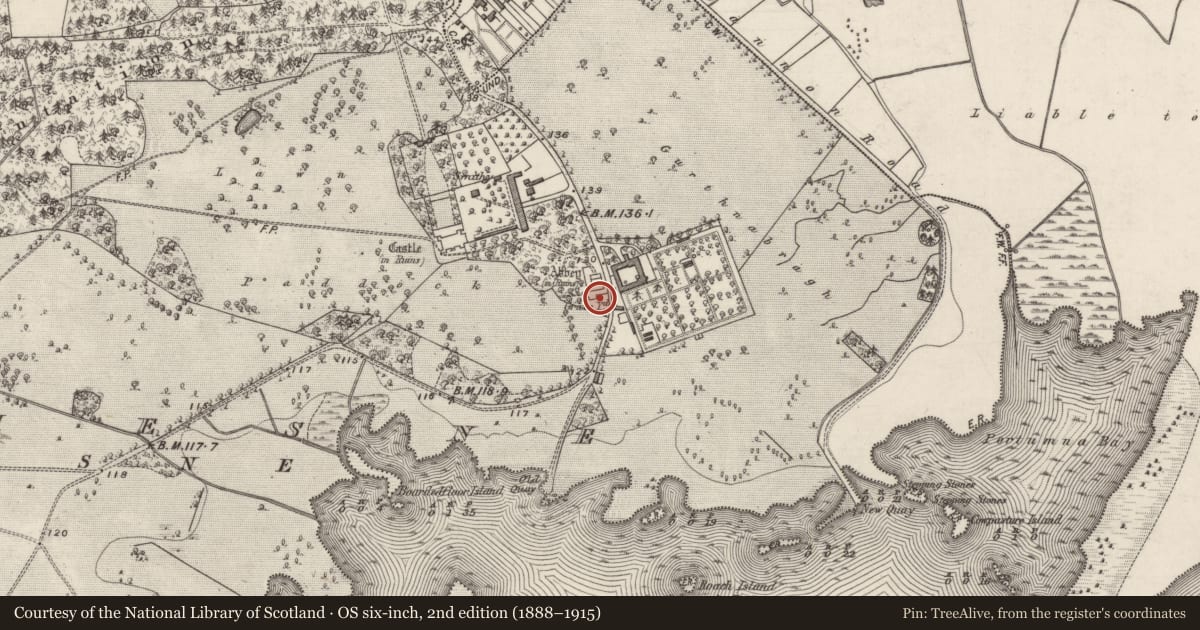 Ordnance Survey six-inch map, 2nd edition (1888–1915) covering the location of Cross - Churchyard cross, Portumna Demesne, County Galway, with a pin at the register's coordinates