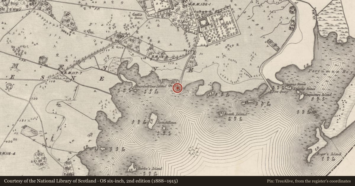Ordnance Survey six-inch map, 2nd edition (1888–1915) covering the location of Castle - unclassified, Portumna Demesne, County Galway, with a pin at the register's coordinates