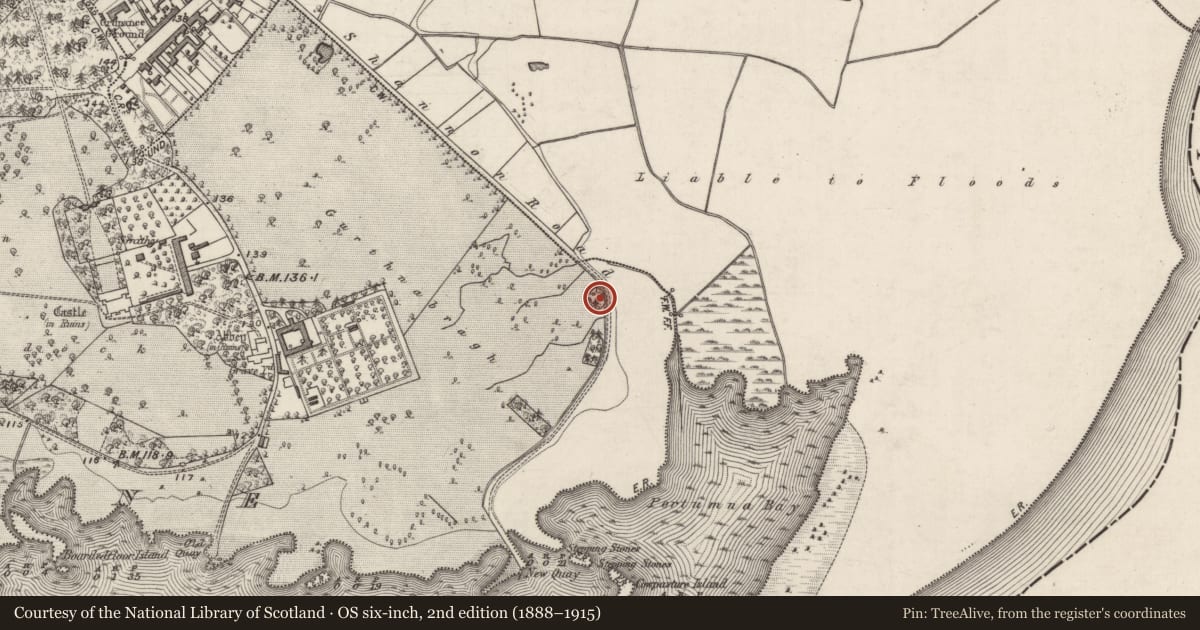 Ordnance Survey six-inch map, 2nd edition (1888–1915) covering the location of Designed landscape - folly, Portumna Demesne, County Galway, with a pin at the register's coordinates