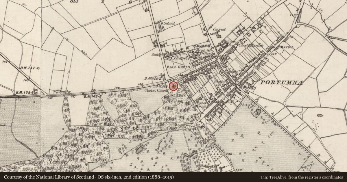 Ordnance Survey six-inch map, 2nd edition (1888–1915) covering the location of Church, Portumna Demesne, County Galway, with a pin at the register's coordinates