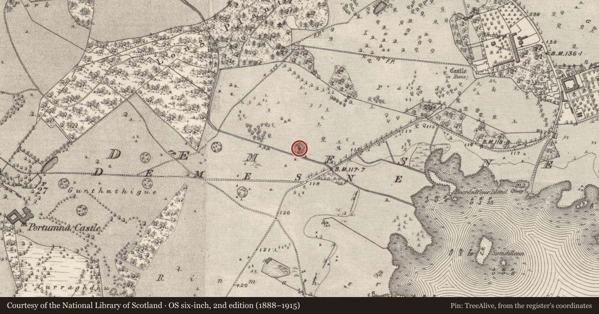 Ordnance Survey six-inch map, 2nd edition (1888–1915) covering the location of Ringfort - rath, Portumna Demesne, County Galway, with a pin at the register's coordinates