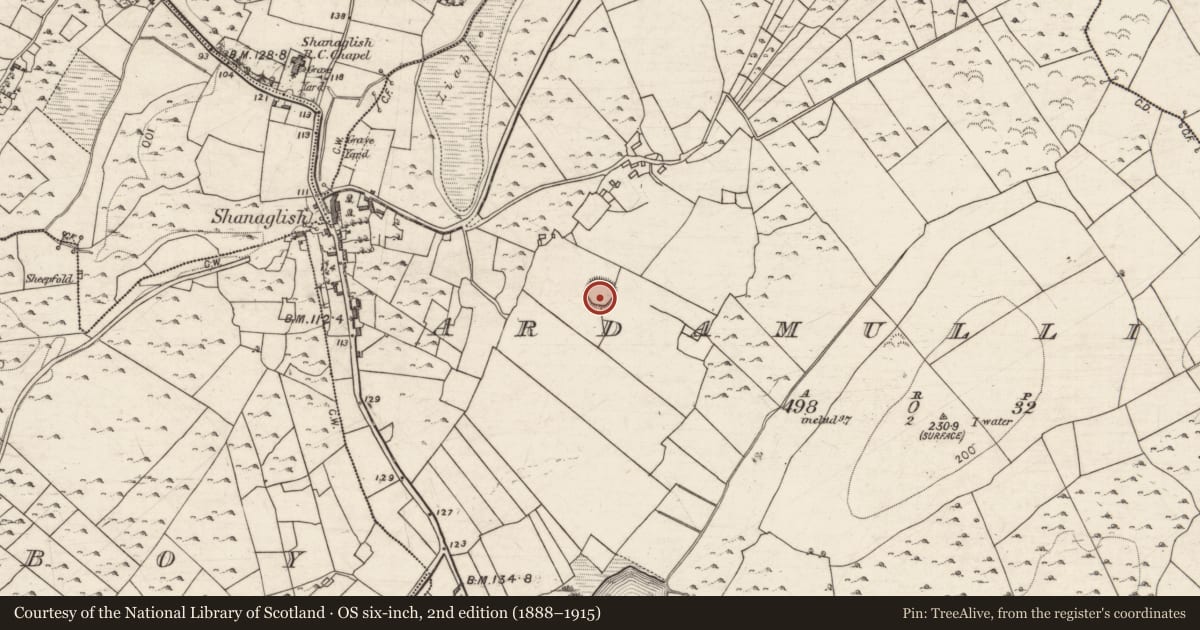Ordnance Survey six-inch map, 2nd edition (1888–1915) covering the location of Ringfort - cashel, Ardamullivan, County Galway, with a pin at the register's coordinates