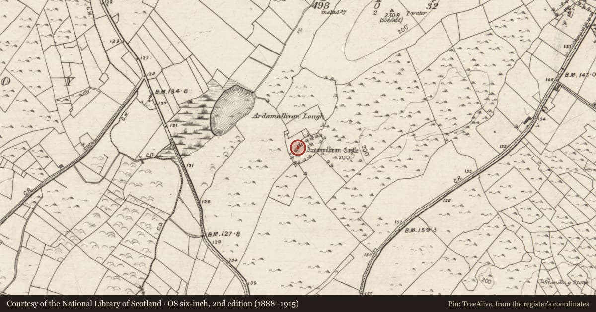 Ordnance Survey six-inch map, 2nd edition (1888–1915) covering the location of Castle - tower house, Ardamullivan, County Galway, with a pin at the register's coordinates