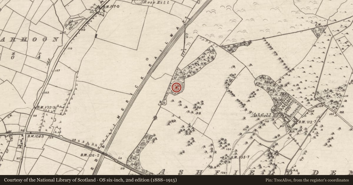 Ordnance Survey six-inch map, 2nd edition (1888–1915) covering the location of Souterrain, Ashfield Demesne, County Galway, with a pin at the register's coordinates