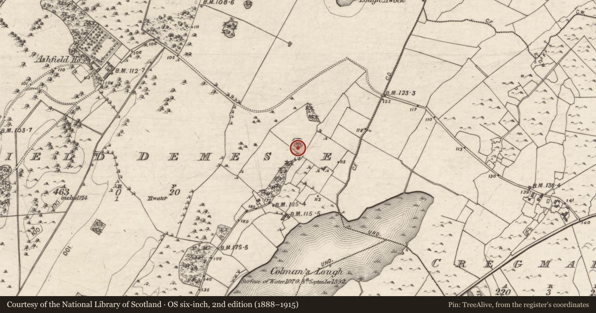 Ordnance Survey six-inch map, 2nd edition (1888–1915) covering the location of Designed landscape feature, Ashfield Demesne, County Galway, with a pin at the register's coordinates