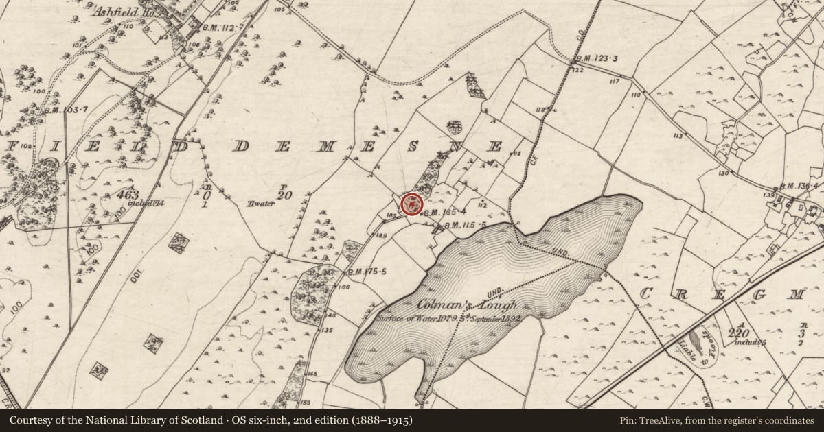 Ordnance Survey six-inch map, 2nd edition (1888–1915) covering the location of Ringfort - cashel, Ashfield Demesne, County Galway, with a pin at the register's coordinates