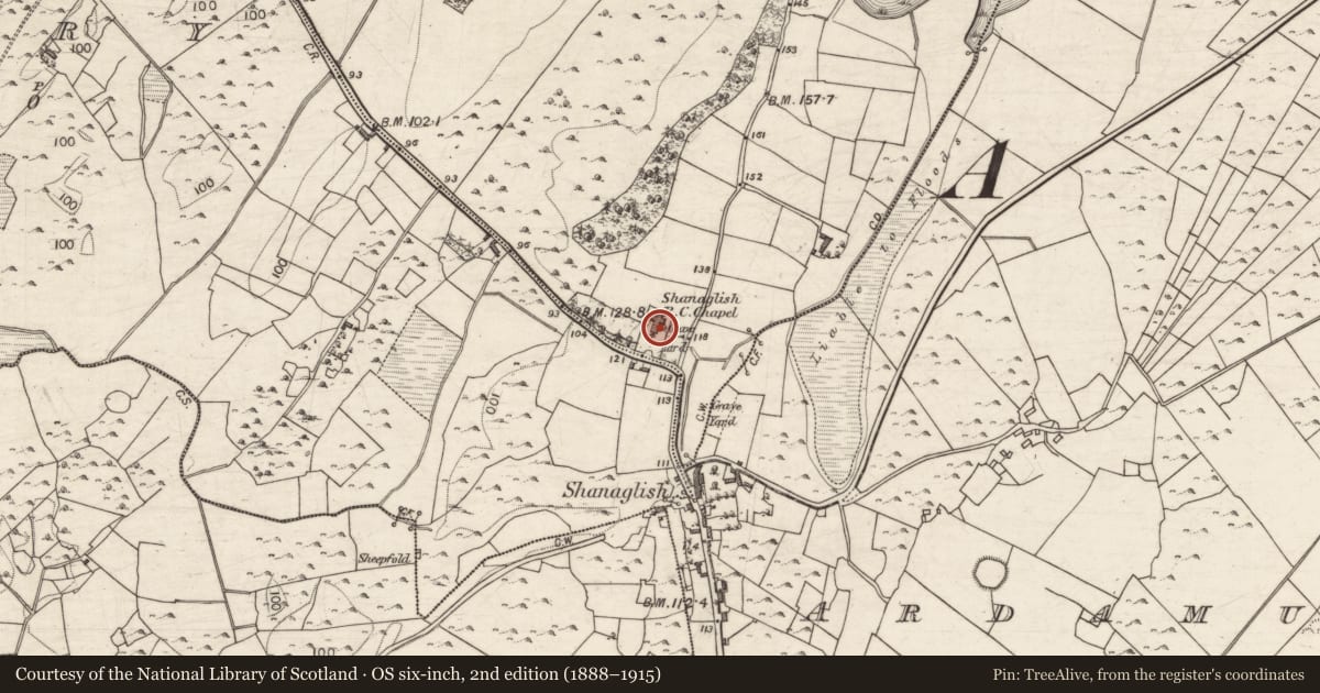 Ordnance Survey six-inch map, 2nd edition (1888–1915) covering the location of Church, Ashfield Demesne, County Galway, with a pin at the register's coordinates