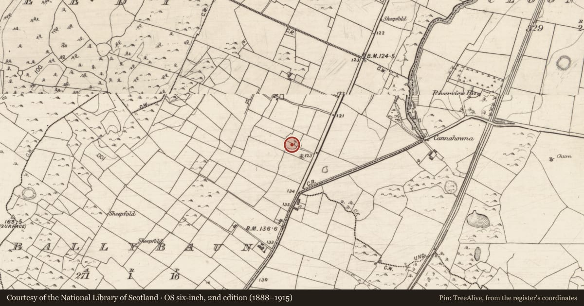 Ordnance Survey six-inch map, 2nd edition (1888–1915) covering the location of Ringfort - cashel, Ballybaun, County Galway, with a pin at the register's coordinates