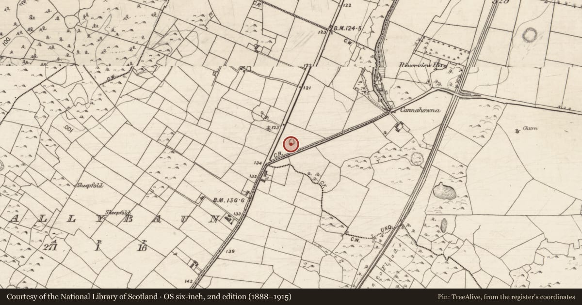 Ordnance Survey six-inch map, 2nd edition (1888–1915) covering the location of Ringfort - rath, Ballybaun, County Galway, with a pin at the register's coordinates