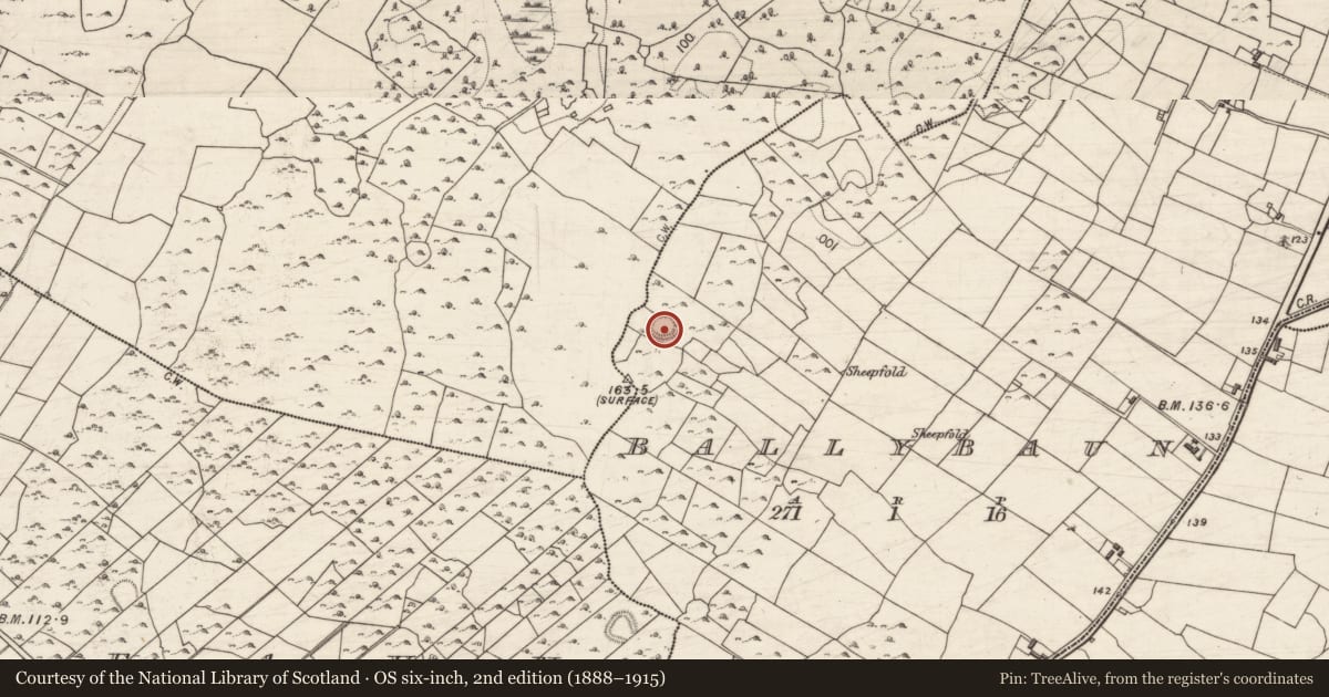 Ordnance Survey six-inch map, 2nd edition (1888–1915) covering the location of Souterrain, Ballybaun, County Galway, with a pin at the register's coordinates