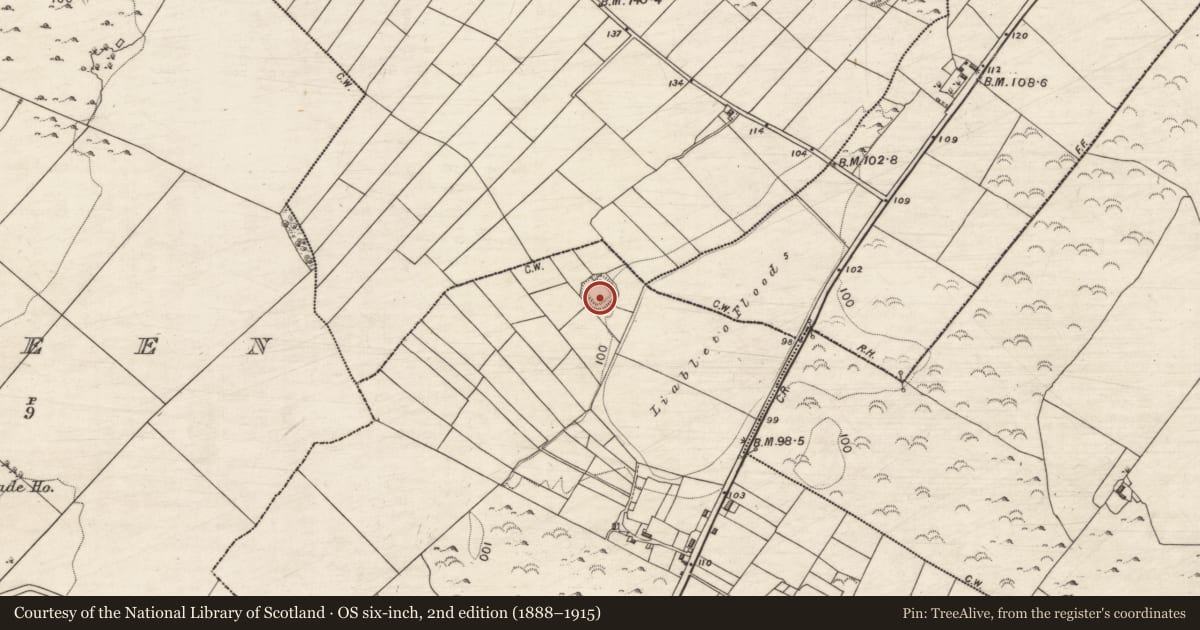 Ordnance Survey six-inch map, 2nd edition (1888–1915) covering the location of Ringfort - rath, Ballyboy, County Galway, with a pin at the register's coordinates