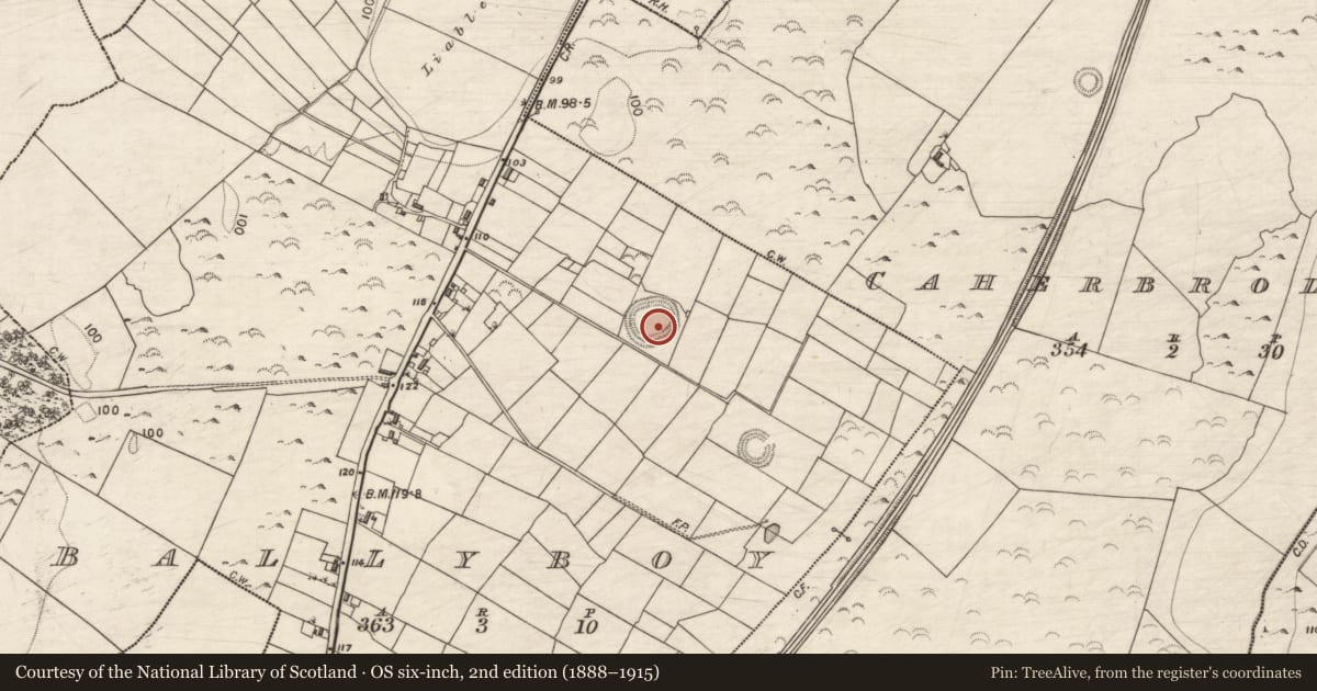 Ordnance Survey six-inch map, 2nd edition (1888–1915) covering the location of Ringfort - rath, Ballyboy, County Galway, with a pin at the register's coordinates