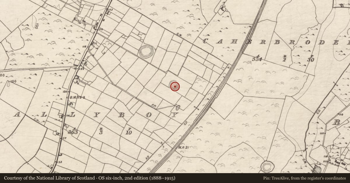 Ordnance Survey six-inch map, 2nd edition (1888–1915) covering the location of Ringfort - rath, Ballyboy, County Galway, with a pin at the register's coordinates