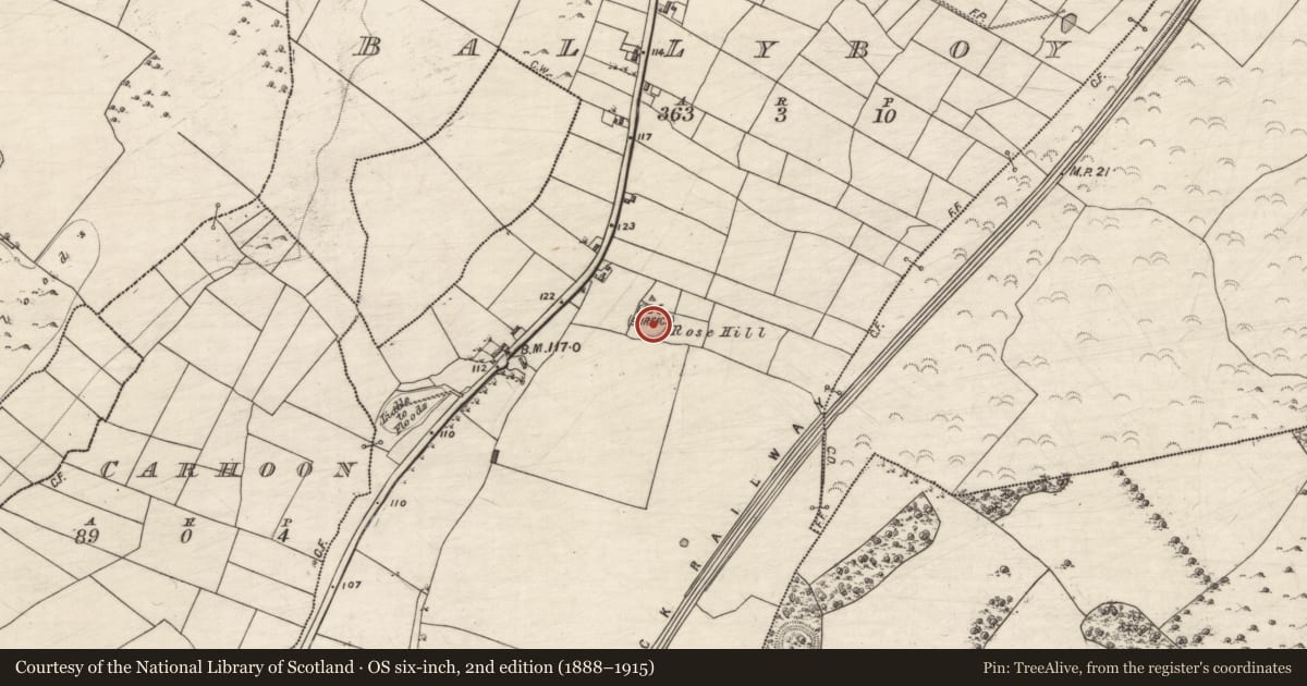Ordnance Survey six-inch map, 2nd edition (1888–1915) covering the location of Ringfort - rath, Ballyboy, County Galway, with a pin at the register's coordinates