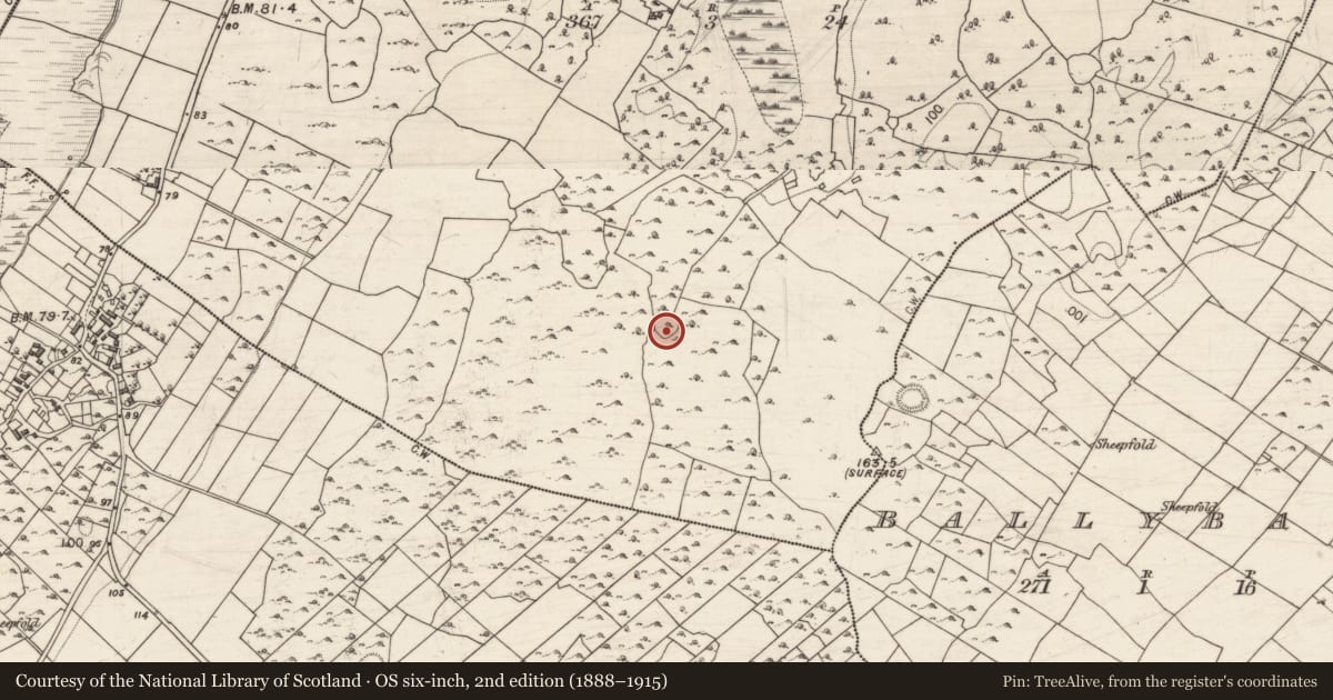 Ordnance Survey six-inch map, 2nd edition (1888–1915) covering the location of Ringfort - cashel, Ballysheedy, County Galway, with a pin at the register's coordinates