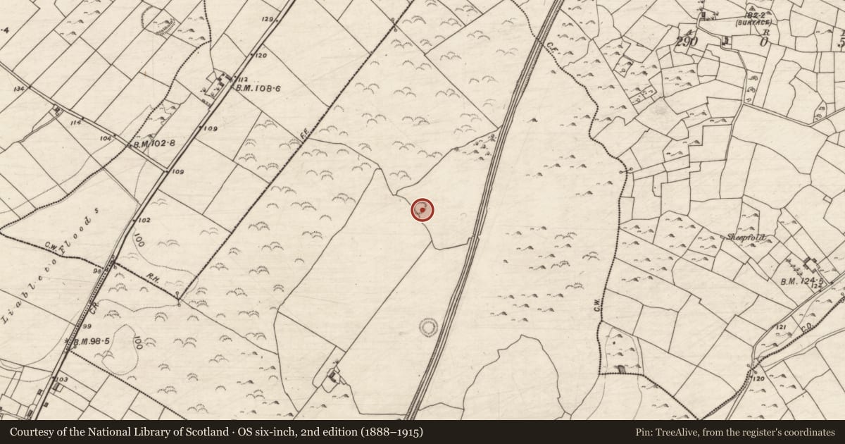 Ordnance Survey six-inch map, 2nd edition (1888–1915) covering the location of Ringfort - cashel, Caherbroder, County Galway, with a pin at the register's coordinates