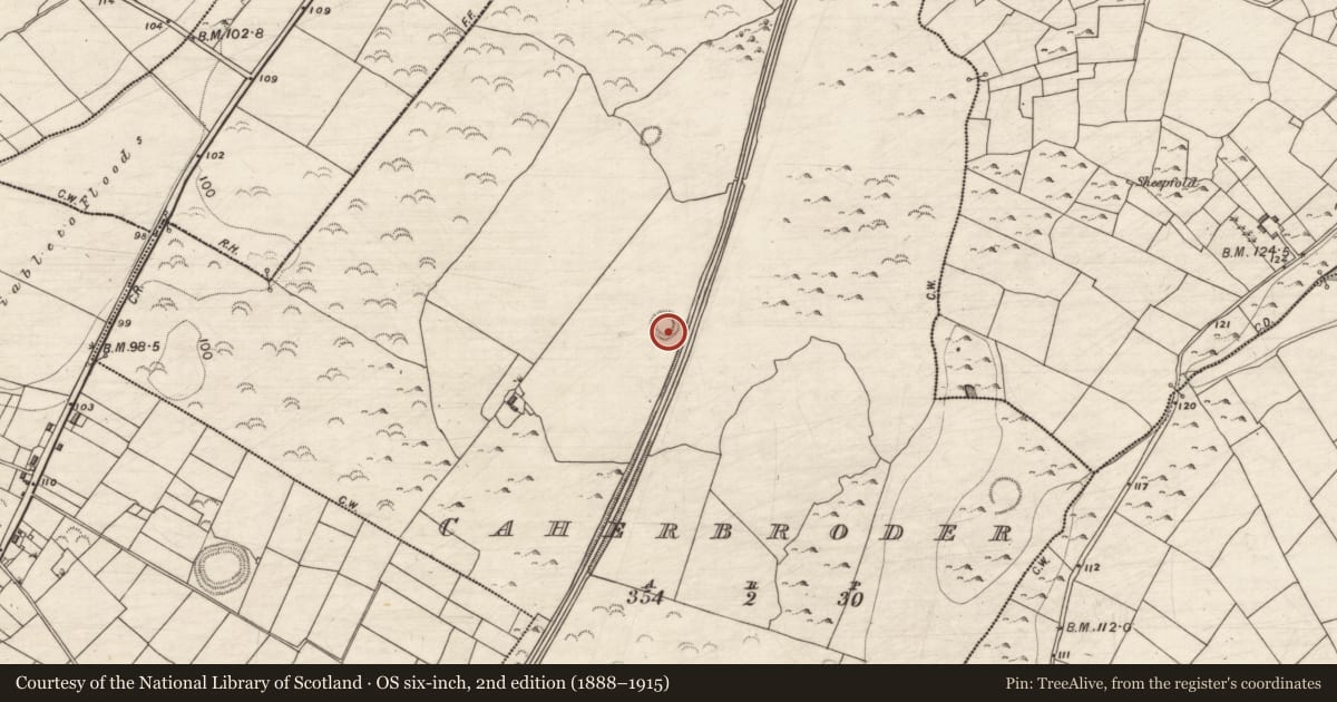 Ordnance Survey six-inch map, 2nd edition (1888–1915) covering the location of Ringfort - cashel, Caherbroder, County Galway, with a pin at the register's coordinates