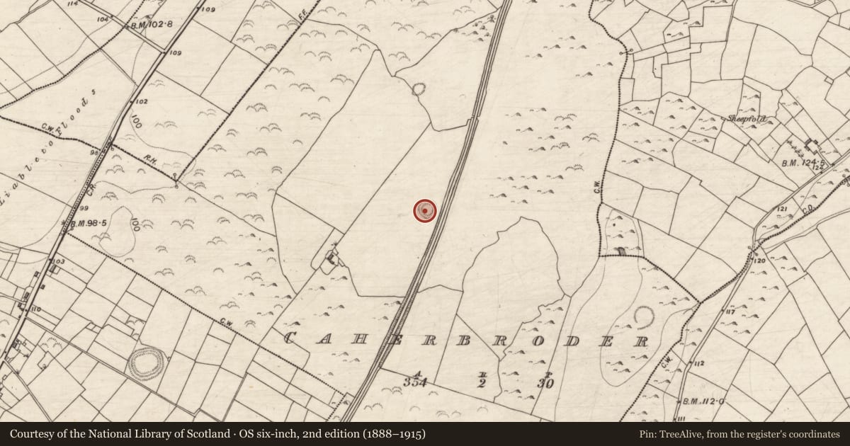 Ordnance Survey six-inch map, 2nd edition (1888–1915) covering the location of Souterrain, Caherbroder, County Galway, with a pin at the register's coordinates
