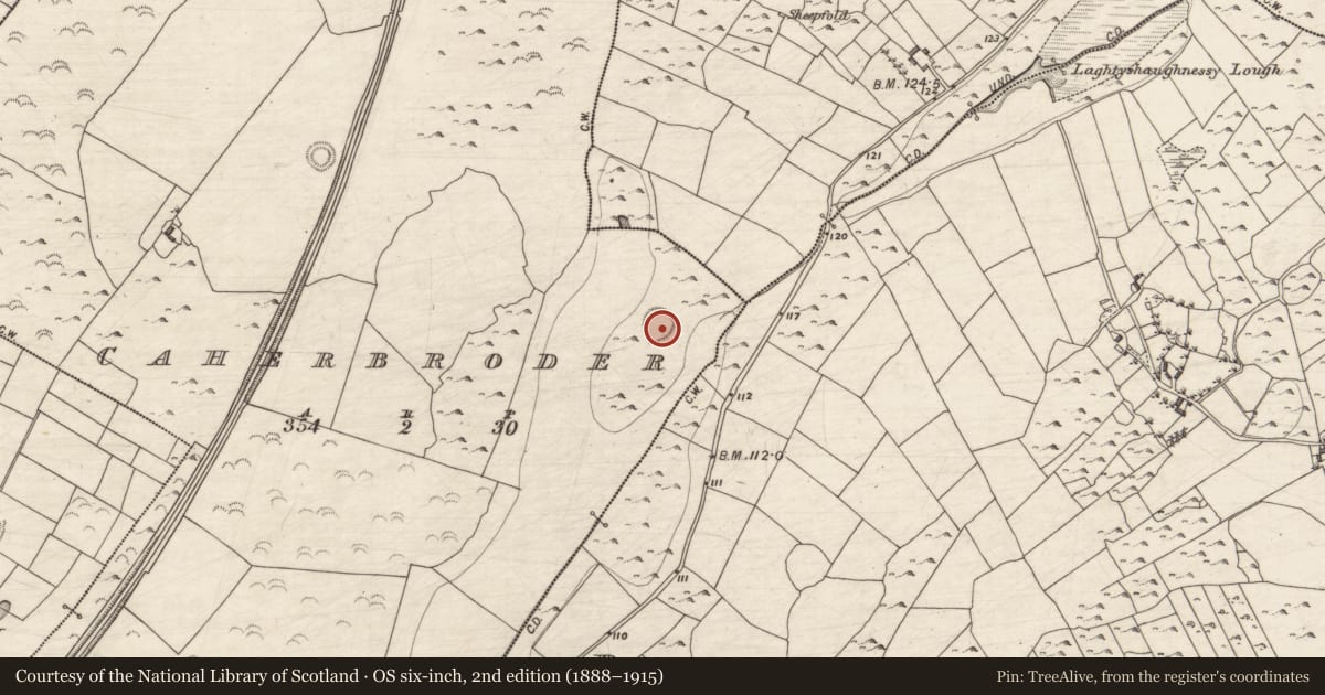 Ordnance Survey six-inch map, 2nd edition (1888–1915) covering the location of Ringfort - cashel, Caherbroder, County Galway, with a pin at the register's coordinates