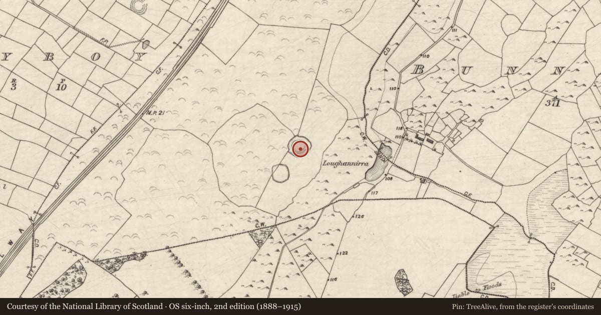 Ordnance Survey six-inch map, 2nd edition (1888–1915) covering the location of Ringfort - rath, Caherbroder, County Galway, with a pin at the register's coordinates