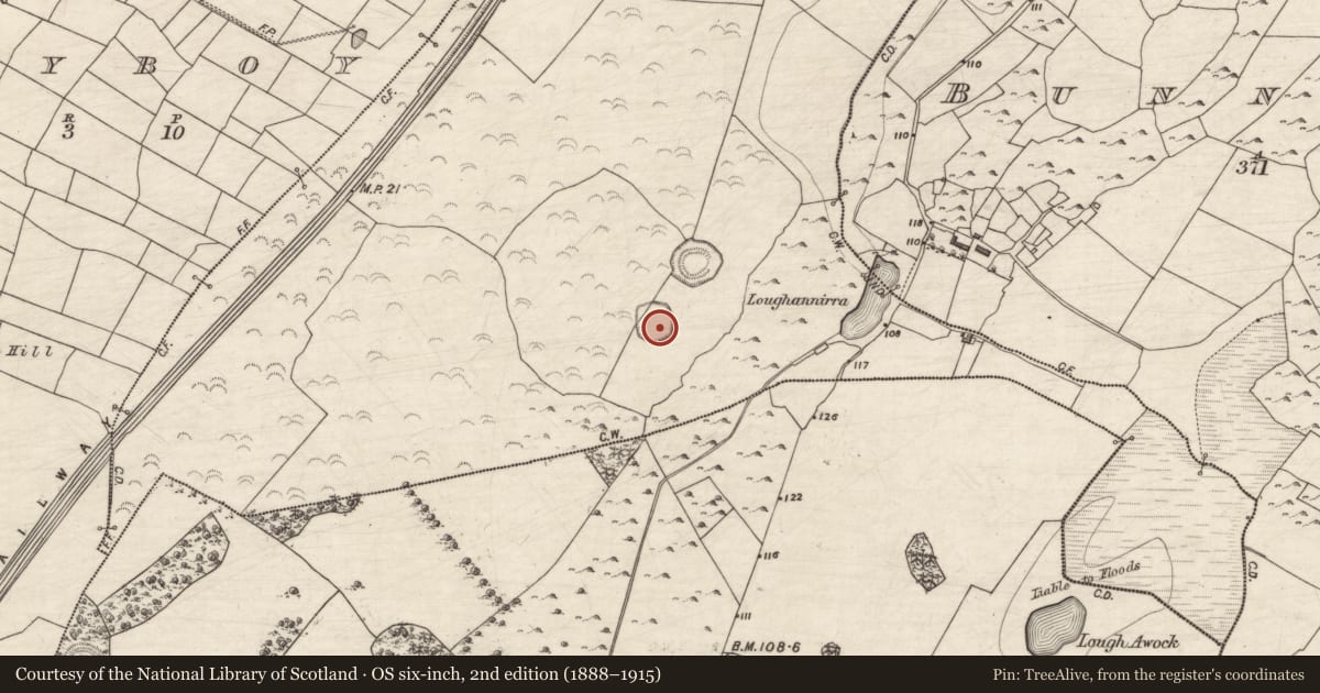 Ordnance Survey six-inch map, 2nd edition (1888–1915) covering the location of Ringfort - rath, Caherbroder, County Galway, with a pin at the register's coordinates