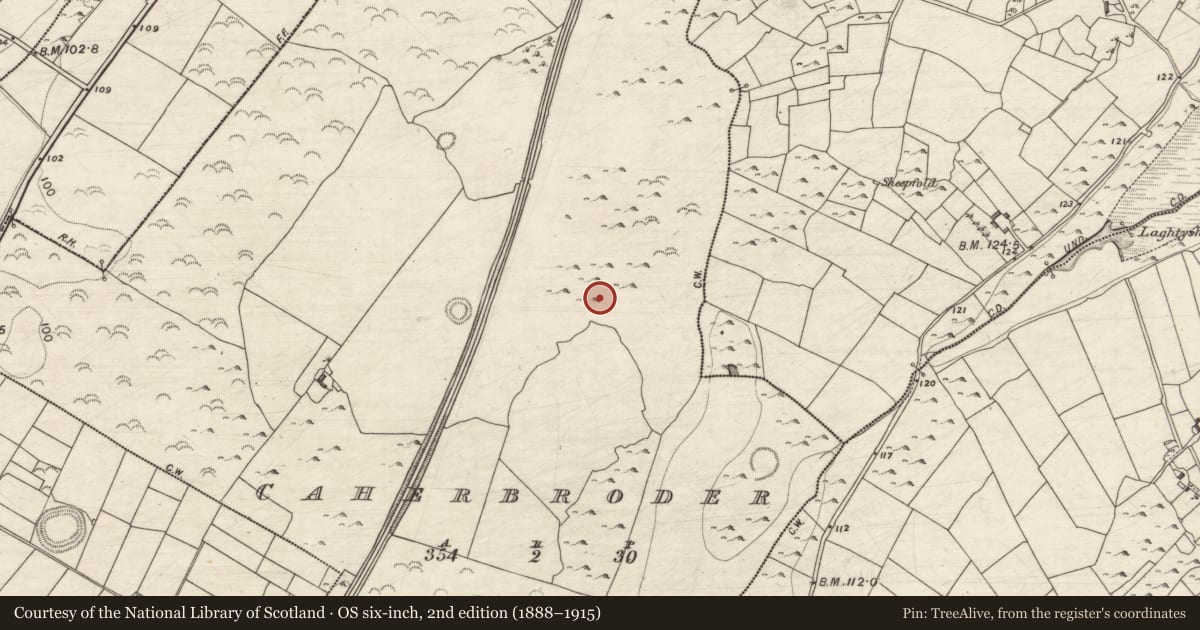 Ordnance Survey six-inch map, 2nd edition (1888–1915) covering the location of Children's burial ground, Caherbroder, County Galway, with a pin at the register's coordinates