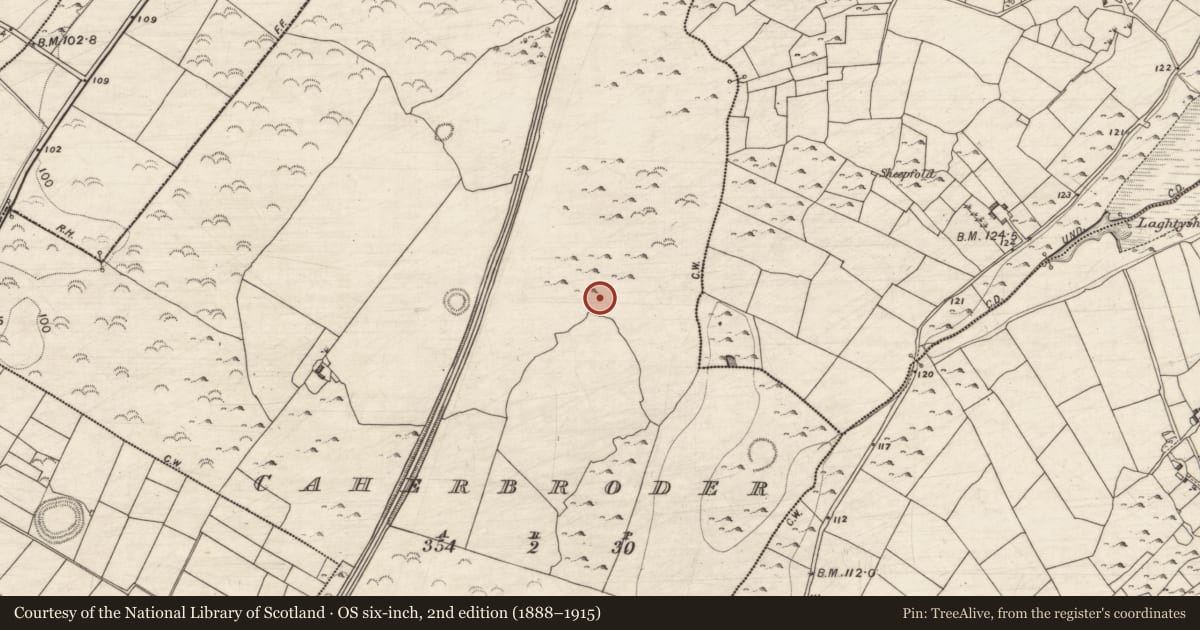 Ordnance Survey six-inch map, 2nd edition (1888–1915) covering the location of Ritual site - holy well, Caherbroder, County Galway, with a pin at the register's coordinates
