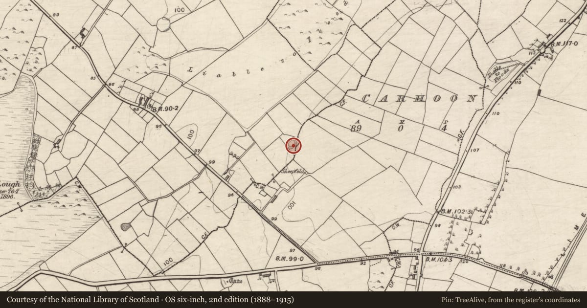 Ordnance Survey six-inch map, 2nd edition (1888–1915) covering the location of Ringfort - rath, Carhoon, Termon, County Galway, with a pin at the register's coordinates
