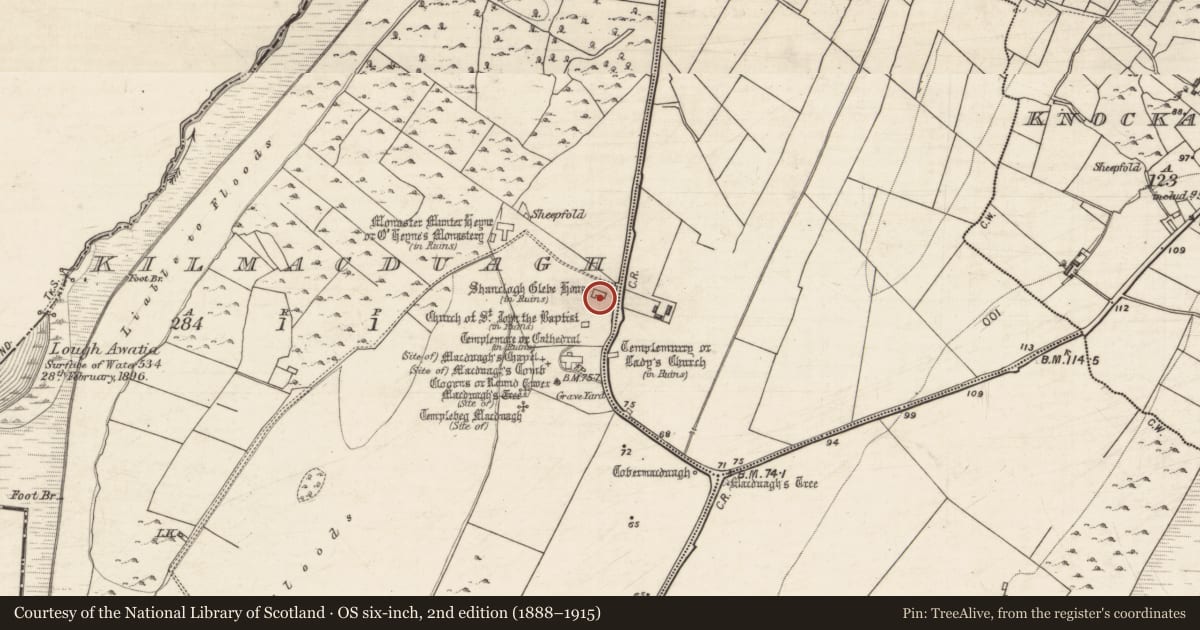 Ordnance Survey six-inch map, 2nd edition (1888–1915) covering the location of Castle - hall-house, Kilmacduagh, County Galway, with a pin at the register's coordinates