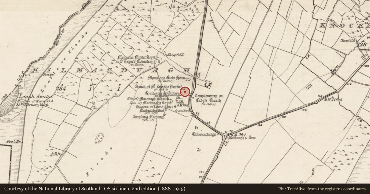 Ordnance Survey six-inch map, 2nd edition (1888–1915) covering the location of Church, Kilmacduagh, County Galway, with a pin at the register's coordinates
