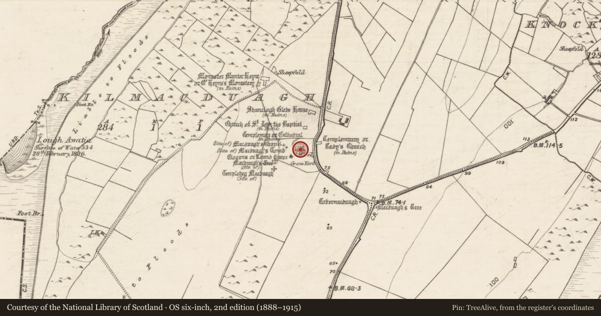 Ordnance Survey six-inch map, 2nd edition (1888–1915) covering the location of Cathedral, Kilmacduagh, County Galway, with a pin at the register's coordinates