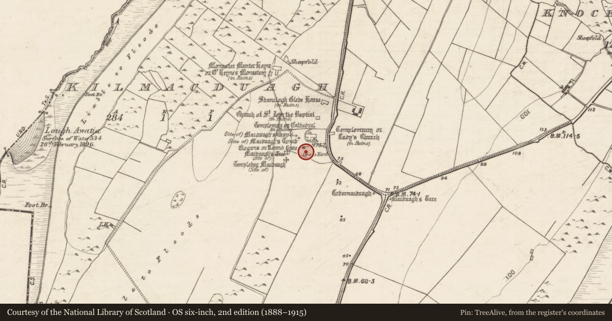 Ordnance Survey six-inch map, 2nd edition (1888–1915) covering the location of Round tower, Kilmacduagh, County Galway, with a pin at the register's coordinates