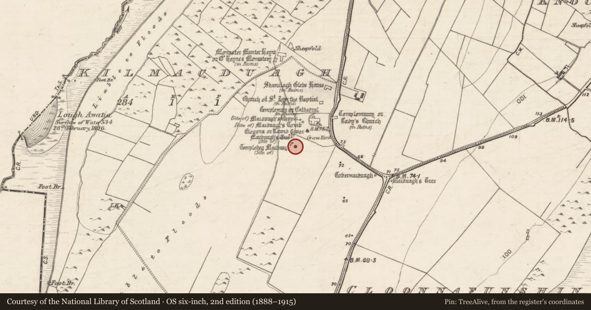 Ordnance Survey six-inch map, 2nd edition (1888–1915) covering the location of Church, Kilmacduagh, County Galway, with a pin at the register's coordinates