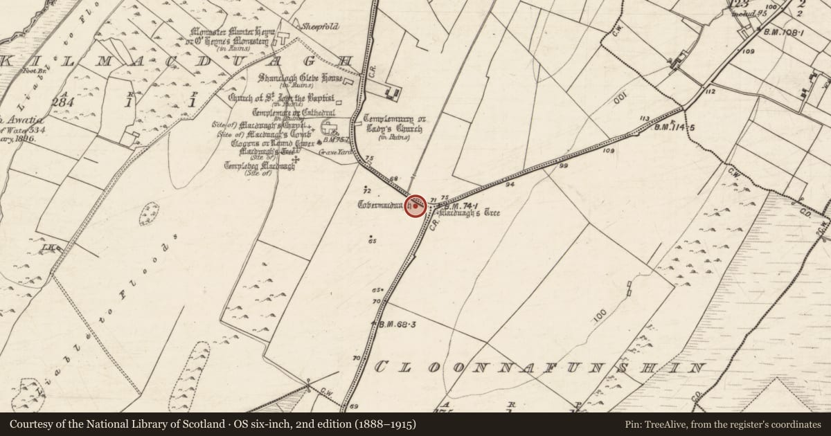 Ordnance Survey six-inch map, 2nd edition (1888–1915) covering the location of Ritual site - holy well, Kilmacduagh, County Galway, with a pin at the register's coordinates