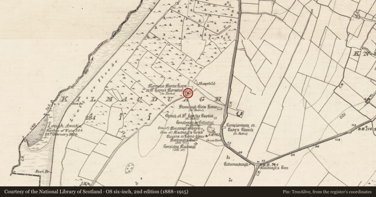 Ordnance Survey six-inch map, 2nd edition (1888–1915) covering the location of Building, Kilmacduagh, County Galway, with a pin at the register's coordinates