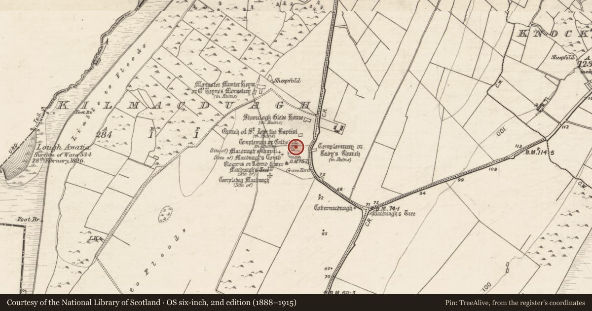 Ordnance Survey six-inch map, 2nd edition (1888–1915) covering the location of Building, Kilmacduagh, County Galway, with a pin at the register's coordinates