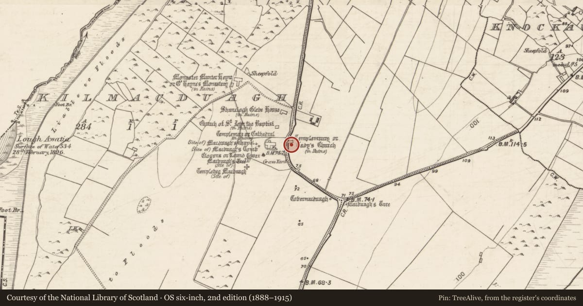 Ordnance Survey six-inch map, 2nd edition (1888–1915) covering the location of Cross-slab, Tawnagh West, County Galway, with a pin at the register's coordinates